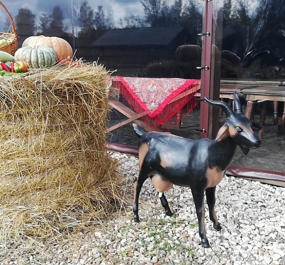 картинка Дойная коза от компании Рент-Бери