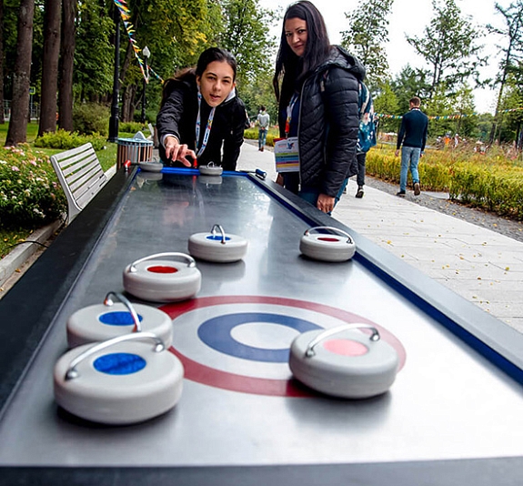 Настольный керлинг рис 4