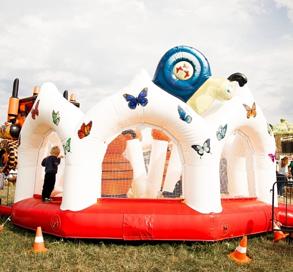 Батут "Чудесная поляна" рис 1