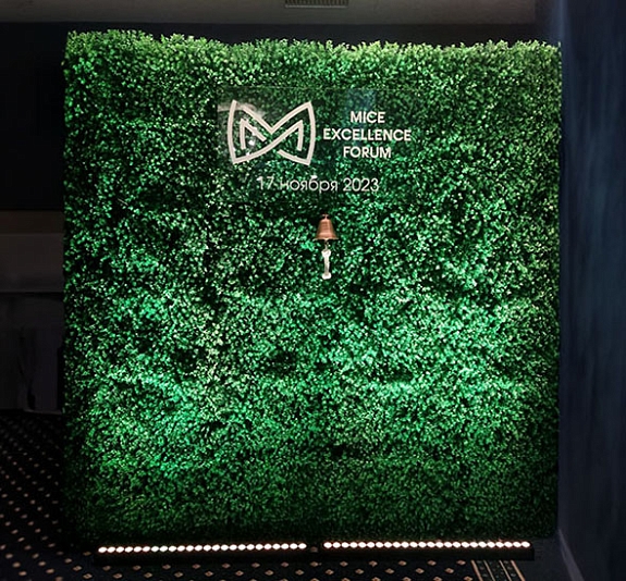 Анимированная фотозона «Шампанское» рис 8