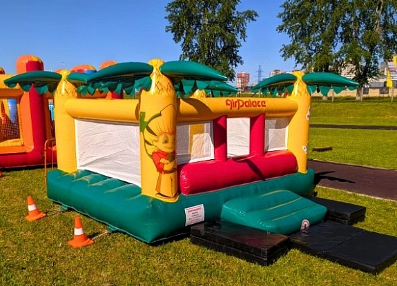 Батут с сухим бассейном "Незнайка"