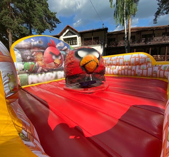 Родео Летающие пташки рис 1