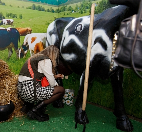 картинка Пивная корова от компании Рент-Бери